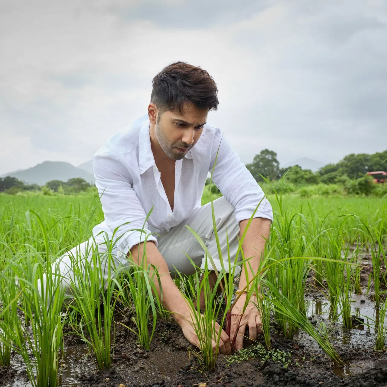 While posting these pictures, Varun wrote in the caption, 'Farming begins." In these pictures, Varun is seen wearing white clothes and holding a shovel in his hand. In some pictures, he is seen planting paddy amidst mud. Fans are liking his desi style a lot. 