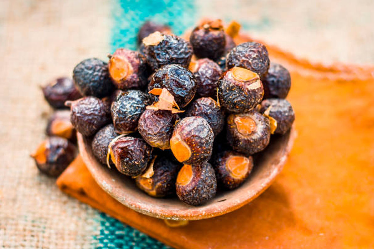 From Garden To Hair Wash: How To Grow And Use Reetha