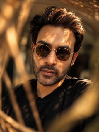 'Botox has frozen his brain': Naman Shaw slams Rohit Roy for calling TV a 'dustbin medium'