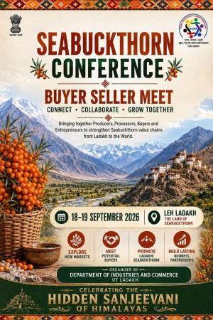 Sea Buckthorn