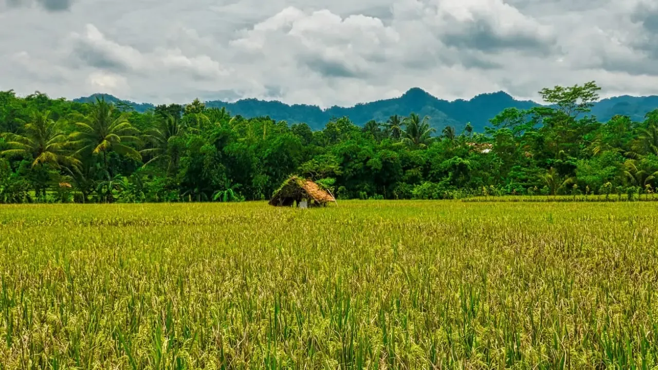 Agritourism Travel Trend