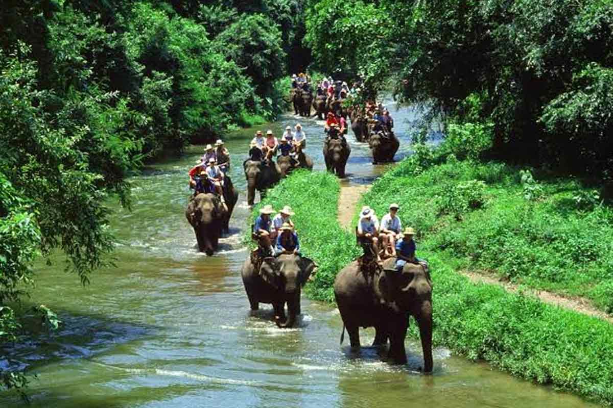 Chandaka-Dampara-Wildlife-Sanctuary-1