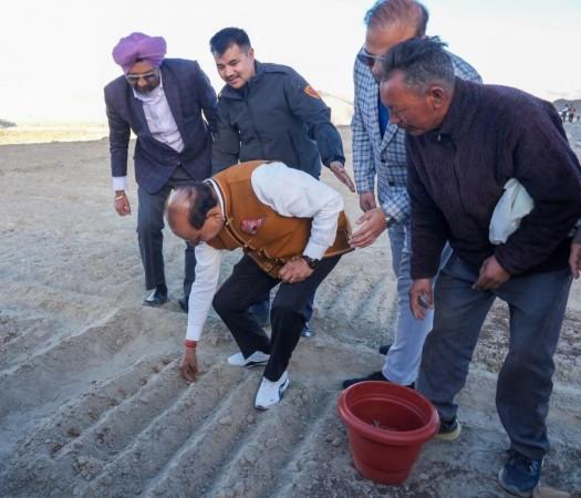 Saffron Cultivation
