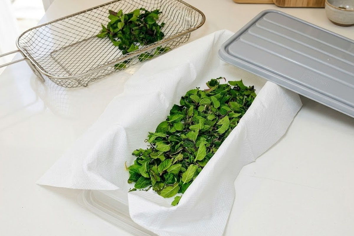 Mint leaves storage method to preserve freshness and flavor