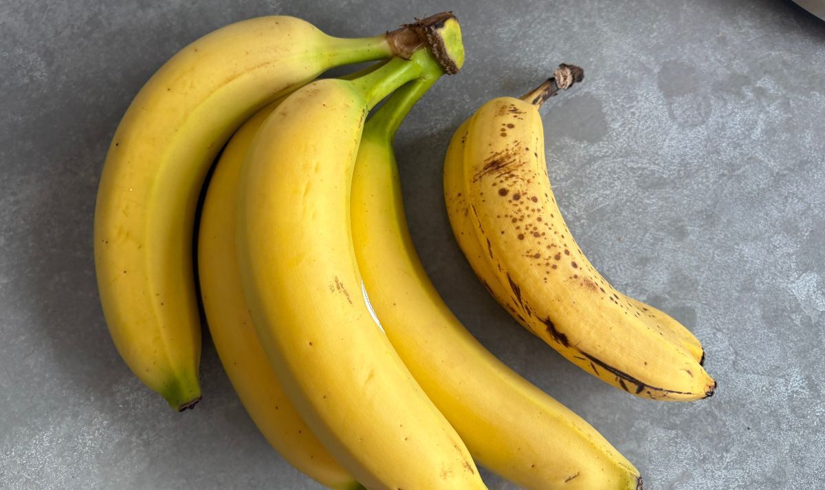 Fresh bananas and brown bananas next to eachother Fresh bananas and brown bananas next to eachother