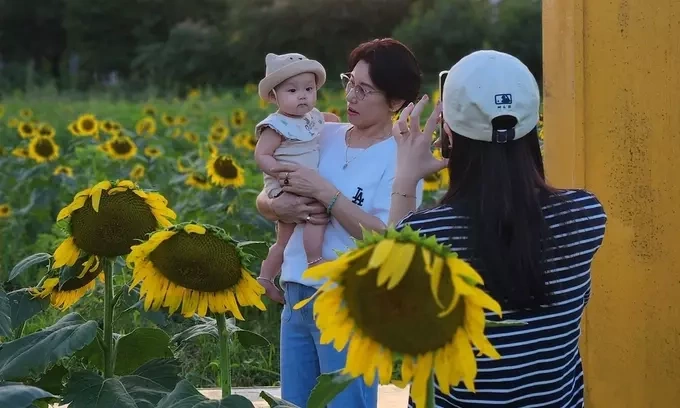 Park, her grandchild and daughter-in-law go sightseeing and take photos at a sunflower hill. Photo courtesy of Tho