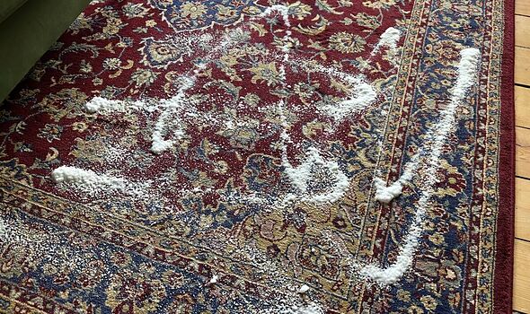 Carpet spray Carpet spray
