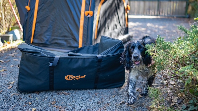 The storage bag for the Portal Nomis One next to the tent with a dog running past.