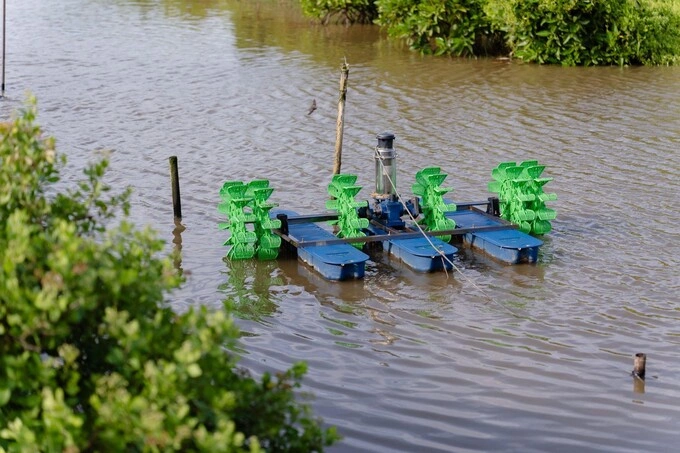 An integrated multi-trophic aquaculture and recirculating aquaculture system (IMTA-RAS) combined with mangrove restoration. Photo courtesy of IUCN